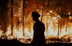 उत्तराखंड में फायर सीज़न को लेकर फायर वॉचर का चिन्हिकरण, 1200 कर्मचारियों की नई भर्ती