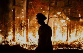 उत्तराखंड में फायर सीज़न को लेकर फायर वॉचर का चिन्हिकरण, 1200 कर्मचारियों की नई भर्ती