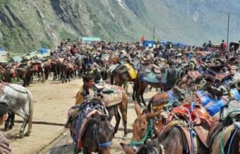चारधाम यात्रा में बड़ा खुलासा, इन्फेलुएनजा से नही हुई घोड़े खच्चरों की मौत- पशुपालन सचिव