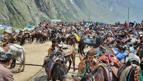 1790193-kedarnath-dham-2