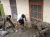 थराली आपदा : सीएम धामी ने दुःख जताया