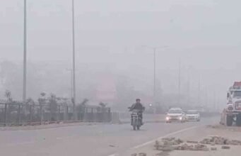 दून समेत छह जिलों में कोहरे का यलो अलर्ट, शीत दिवस जैसी स्थिति रहने के आसार