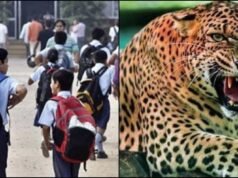 गढ़वाल में गुलदार का आतंक: मां की गोद से बच्चा उठा ले गया, 8 स्कूलों में 2 दिन की छुट्टी