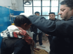 विकासनगर: जौनसार बावर में भालू का हमला: बकरियां चरा रहे पशुपालक की हालत गंभीर