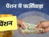 देहरादून में पेंशन घोटाले पर सख्ती: 15 जून तक होगा 100% सत्यापन, फर्जी लाभार्थी होंगे बाहर