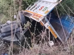 टिहरी हादसा: पिकअप खाई में गिरा, चालक की मौत—SDRF ने घायल को बचाया