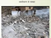 देहरादून में जर्जर स्कूल भवनों पर कार्रवाई तेज: 64 में से 56 ध्वस्त, बाकी जल्द हटेंगे