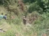 उत्तराखंड में सड़क हादसा: अनियंत्रित कार गहरी खाई में गिरी, एक महिला की मौत,चार घायल