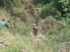 उत्तराखंड में सड़क हादसा: अनियंत्रित कार गहरी खाई में गिरी, एक महिला की मौत,चार घायल