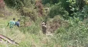 उत्तराखंड में सड़क हादसा: अनियंत्रित कार गहरी खाई में गिरी, एक महिला की मौत,चार घायल