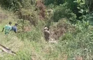 उत्तराखंड में सड़क हादसा: अनियंत्रित कार गहरी खाई में गिरी, एक महिला की मौत,चार घायल