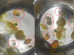 दून मेडिकल कॉलेज मेस में परोसी गई ‘कीड़ों वाली सब्जी’, खाना खाते ही छात्रों में मचा हड़कंप
