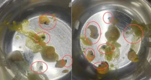 दून मेडिकल कॉलेज मेस में परोसी गई ‘कीड़ों वाली सब्जी’, खाना खाते ही छात्रों में मचा हड़कंप