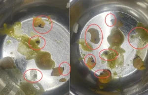 दून मेडिकल कॉलेज मेस में परोसी गई ‘कीड़ों वाली सब्जी’, खाना खाते ही छात्रों में मचा हड़कंप