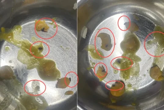 दून मेडिकल कॉलेज मेस में परोसी गई ‘कीड़ों वाली सब्जी’, खाना खाते ही छात्रों में मचा हड़कंप