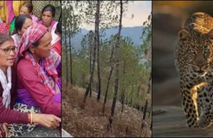 पौड़ी में आदमखोर गुलदार का कहर: महिला को बनाया निवाला, वन विभाग ने किया ढेर