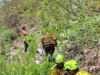 देवप्रयाग हादसा: खाई से नदी में गिरी इनोवा, SDRF ने शुरू किया बड़ा सर्च ऑपरेशन