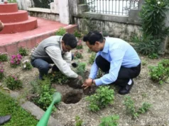 हरेला पर हरित संकल्प: नैनीताल से भीमताल तक चला मेगा पौधारोपण अभियान, हजारों पौधे लगाए गए