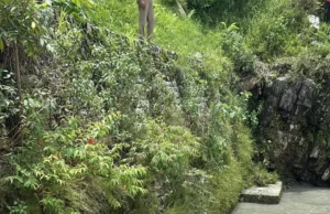 बागेश्वर: सरयू नदी में डूबे 8 वर्षीय बालक का शव 4 दिन बाद बरामद, SDRF ने चलाया था लगातार सर्च ऑपरेशन