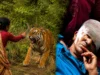 रामनगर में बाघ से भिड़ी बहू, हंसिया से किया पलटवार; सास की जान बची, घायल महिला हायर सेंटर रेफर
