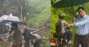 हल्द्वानी-नैनीताल हाईवे पर गिरा विशाल चीड़ का पेड़, कुमाऊं आयुक्त दीपक रावत ने खुद संभाला मोर्चा