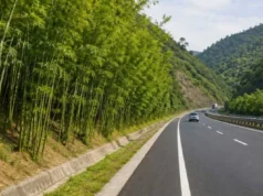 उत्तराखंड के एक्सप्रेसवे पर ‘ग्रीन गोल्ड’ का प्लान, बांस रोकेगा मिट्टी कटाव और बढ़ाएगा हरियाली
