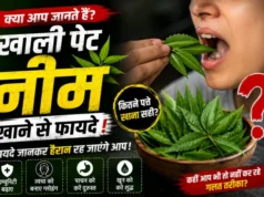 Neem Benefits: खाली पेट नीम खाने से फायदे! जानिए क्या कहते हैं विशेषज्ञ