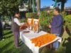 यूजेवीएन लिमिटेड में धूमधाम से मनाई गई महात्मा गांधी और लाल बहादुर शास्त्री की जयंती