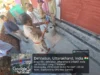 एमडीडीए का बड़ा एक्शन- पांच जगह सीलिंग, आवासीय कॉलोनियों में अवैध कारोबार पर चला डंडा
